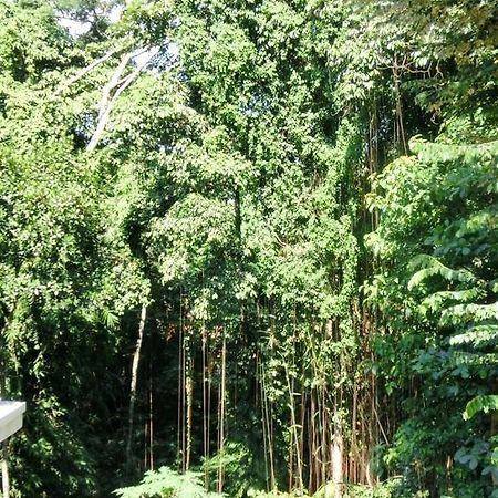 Latugu Homestay Ubud Esterno foto
