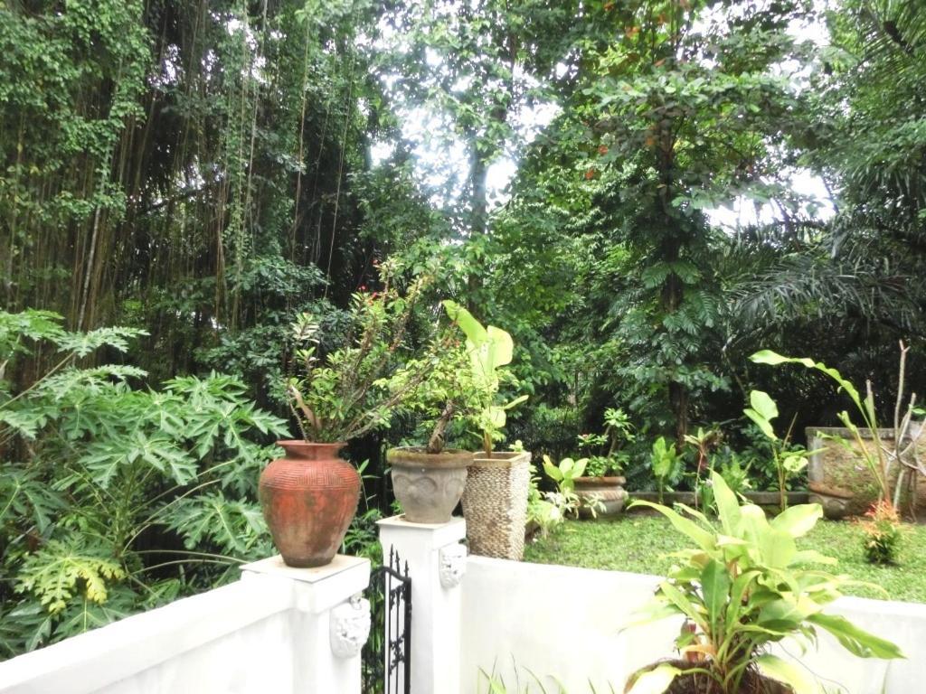 Latugu Homestay Ubud Camera foto